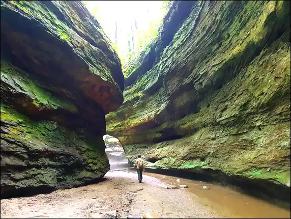 things to do at turkey run state park