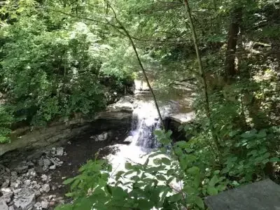 mcCormick's creek